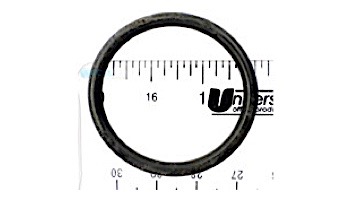Aqua Ultraviolet 1.5_quot; Valve Cover O-Ring | A50063 loading=