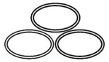 Paramount Quartz Tube Seal O-Ring, 3 Pack | 005-422-5103-00