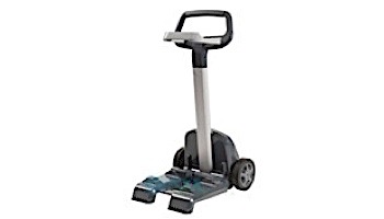 dolphin maytronics