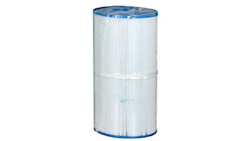 Custom molded Replacement 50 Sq Ft. Filter Element with Microban only (C-4950AM) | 25391-200-000