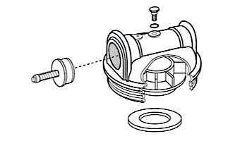 Pentair Complete Manifold | R172213PT