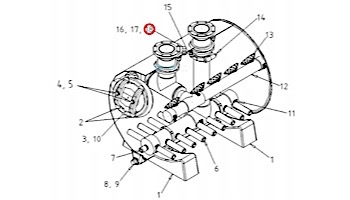 Pentair Bulkhead Fitting 1/2" | B4979BAN