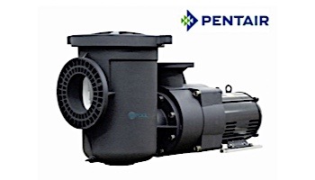 Pentair EQKT500 Commercial TEFC Pool Pump With Strainer | NEMA Rated | 3 Phase | 208-230/460V 5HP | 340604