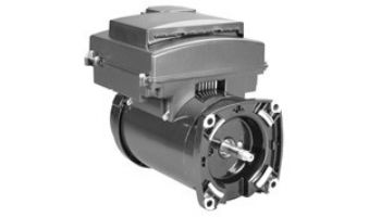 Replacement Affinity Variable Speed 56Y TEFC Square Flange Motor 3HP | 230V 60Hz | AVSS3 loading=