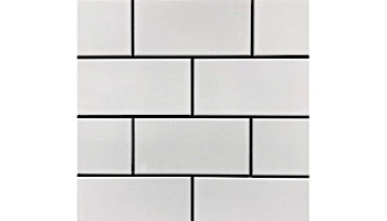 Cepac Tile Continental Subway 3x6 Series | Milky White | COS-7