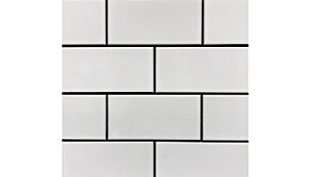 Cepac Tile Continental Subway 3x6 Series | Matte White | COS-2