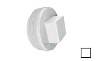 AquaStar 2" Tapered Pipe Thread Plug | White | 8SBP101
