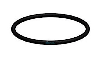 AquaStar Chlorinator - O-Ring #343 Viton | CH1009