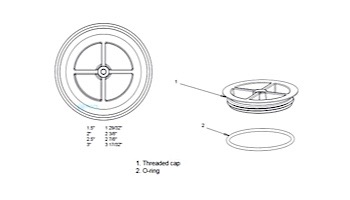 AquaStar Winterizing Plaster Cap with O-Ring 2" | Blue | CS104-2