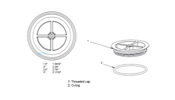 AquaStar Winterizing Plaster Cap with O-Ring 3" | Light Gray | CS103-3
