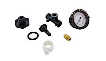 Pentair Filter Valve & Gauge Assembly | 075320