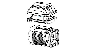 Pentair Motor/Drive Assembly | 353132S