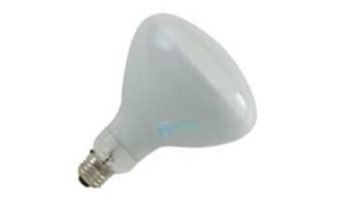 Halco R40 Medium Base Flood Hard Glass Incandescent Lamp | 500W 120V | R40FL500/HG 104042