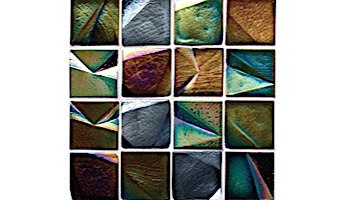 National Pool Tile Spectra 1 3/8 x 1 3/8 Glass | Harlequin | OCN-HARLEQUIN