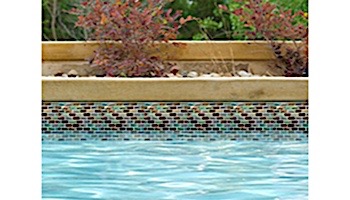 National Pool Tile Spectra 7/8 x 1 7/8 Glass | Harlequin |  OCN-HARLEQUIN1X2