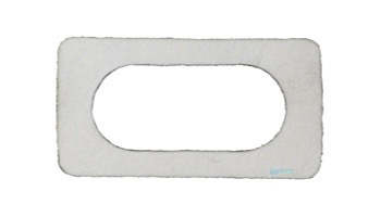 Pentair MasterTemp Electrical System Igniter Gasket | 42001-0066S