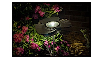 Desert Steel Poppy Solar Garden Light | Bronze | 409-309