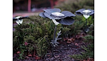 Desert Steel Poppy Solar Garden Light | Bronze | 409-309