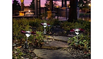 Desert Steel Poppy Solar Garden Light | Red | 409-310
