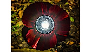 Desert Steel Poppy Solar Garden Light | Red | 409-310