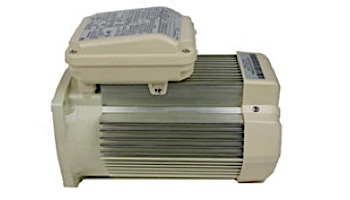 Pentair Replacement TEFC Super-Duty Motor Single Speed | 56 Frame | 208/230V 3HP | Almond | 354817S