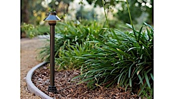 FX Luminaire SaguaroPetite® Path Light | 18" Riser | Weathered Iron | SP-A LED20W-18R-WI