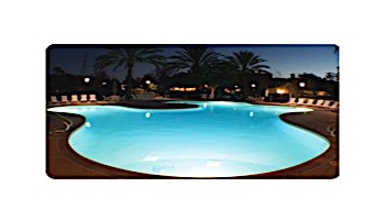 J&J Electronics PureWhite VU Nicheless LED Pool and Spa Light Fixture | 8W 12V 50' Cord | LPL-R1W-12-50 25001