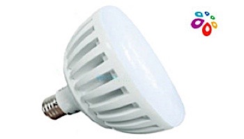 J&J Electronics ColorSplash LXG-W Series RGB + White LED Pool Lamp | 120V | LPL-P2-RGBW-120