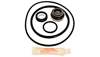 Seal & Gasket Kit for Doughboy-Lomart Power Pak I Pool Pumps | GO-KIT28 APCK1022