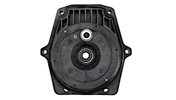 Pentair Seal Plate with Gasket | Black | 350203