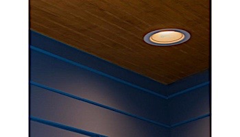 FX Luminaire RC Down Light | ZDC Dimming with Color | Bronze Metallic | RC-ZDC-BZ
