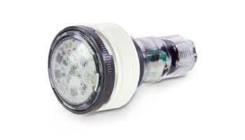 Pentair MicroBrite White Pool and Spa LED Light | 12V 100 ft Cord | EC-620429