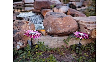 Desert Steel Daisy Solar Garden Light | Pink | 409-302
