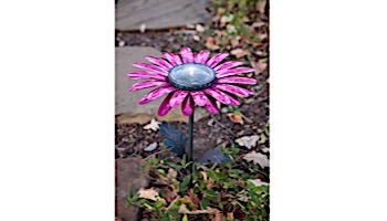 Desert Steel Daisy Solar Garden Light | Pink | 409-302