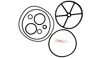 Aladdin Go Kit for PacFab Multiport Valve 2" | Seals & Gaskets GO-KIT70 | APCK1069