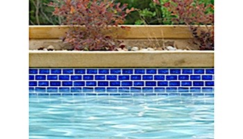 National Pool Tile Tropics 1x2 Series | Cobalt | TRO-COBALT BRK