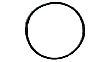 Neptune-Benson CCFG Filter Lid O-Ring Gasket | 1350SA42/3