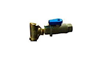 Neptune-Benson CCFG Filter Ball Valve 0.25" MPT x FTP | 11643