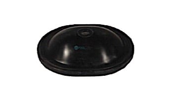 Neptune-Benson CCFG Filter Legacy Lid | 11072