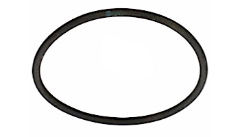 Pentair Large LTRO Flowmeter O-Ring | FLO