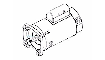 Pentair Square Flange Motor | 1HP Standard Efficiency | 115/208-230V | Black | 355023S