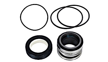 Seal & Gasket for Pentair EQ-Series Commercial Plastic Pool Pumps | GO-KIT-10
