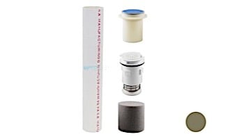 Pentair In-Floor formerly A&A Manufacturing G4VHP Complete Head with Protecta Foam | Gold | 569871 | 230164