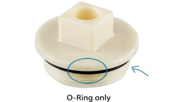 Pentair AVSC Pressure Test Plug 2-1/2" O-Ring Only | 571962 | 295800
