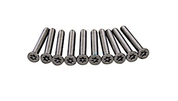 Pentair In-Floor formerly A&A Manufacturing AVSC Stainless Steel 316 Screws | Set of 10 with Tool | 559656 | 295314