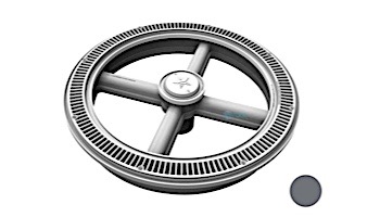 A&A 20" Full Circle Drain VGB Compliant AquaStar | Dark Gray | 574442 | 297213