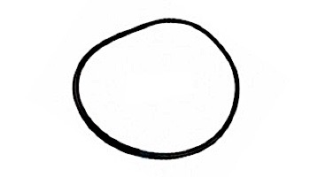 Waterway Plastics ProClean Cartridge Lid O-Ring | 805-0448