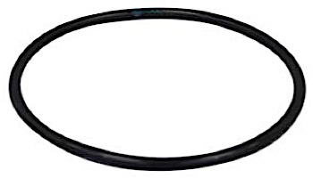A&A Paramount Pool Valet PVR O-Ring | 567461 236730