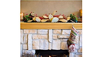 Desert Steel Prickly Pear Mantle Piece Sculpture | 403-020