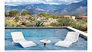 SR Smith Destination Series In-Pool Lounger | Gray | DS-1-52